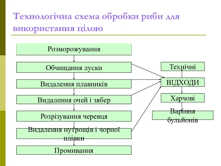 Технологічна схема обробки риби для використання цілою Обчищання луски Видалення плавників