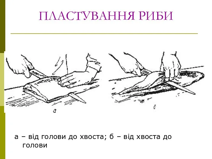 ПЛАСТУВАННЯ РИБИ а – від голови до хвоста; б – від хвоста до голови