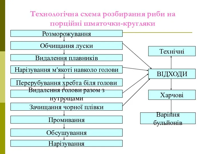 Технологічна схема розбирання риби на порційні шматочки-кругляки Розморожування Нарізування м'якоті навколо