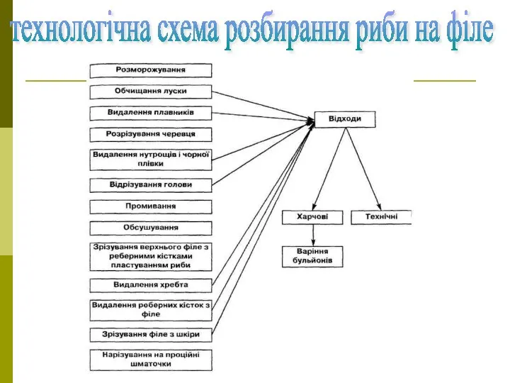 технологічна схема розбирання риби на філе