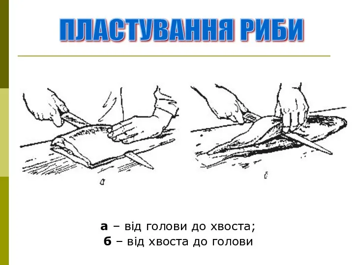 а – від голови до хвоста; б – від хвоста до голови ПЛАСТУВАННЯ РИБИ