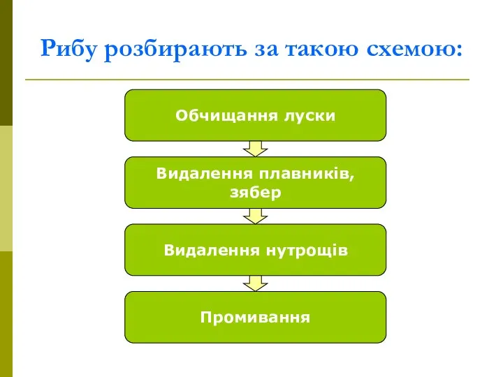 Рибу розбирають за такою схемою: Обчищання луски Видалення плавників, зябер Промивання Видалення нутрощів