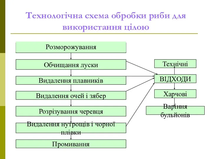 Технологічна схема обробки риби для використання цілою Обчищання луски Видалення плавників