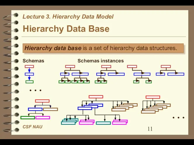 Hierarchy Data Base Hierarchy data base is a set of hierarchy