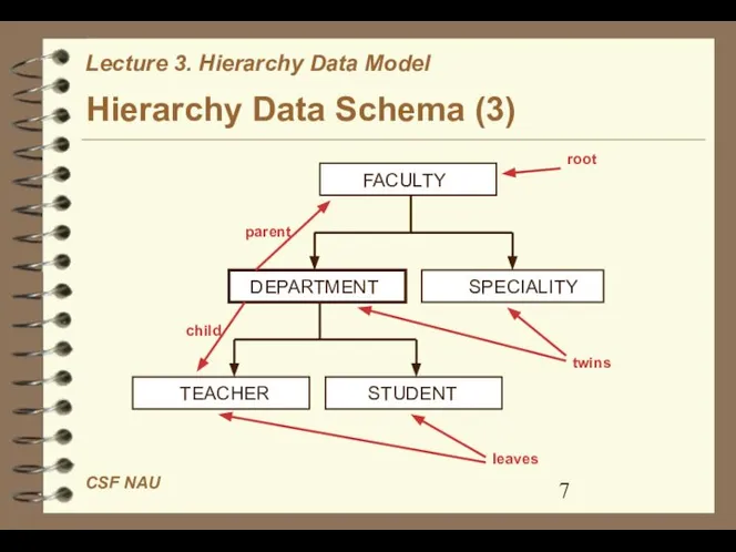 Hierarchy Data Schema (3)