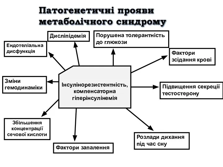 Інсулінорезистентність, компенсаторна гіперінсулінемія Ендотеліальна дисфункція Зміни гемодинаміки Збільшення концентрації сечової кислоти