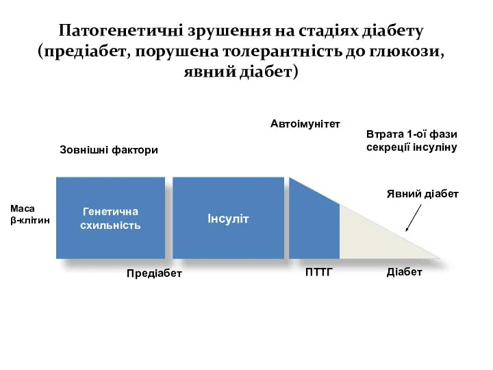 Патогенетичні зрушення на стадіях діабету (предіабет, порушена толерантність до глюкози, явний