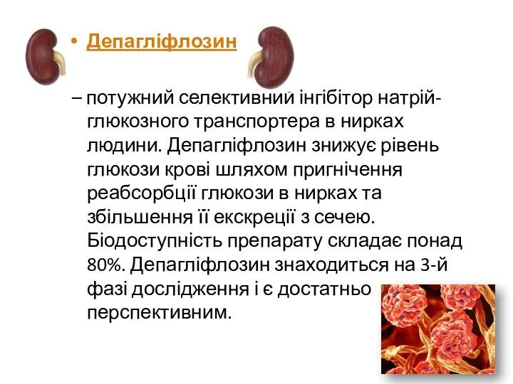 Депагліфлозин – потужний селективний інгібітор натрій-глюкозного транспортера в нирках людини. Депагліфлозин