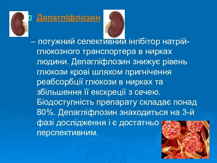 Депагліфлозин – потужний селективний інгібітор натрій-глюкозного транспортера в нирках людини. Депагліфлозин