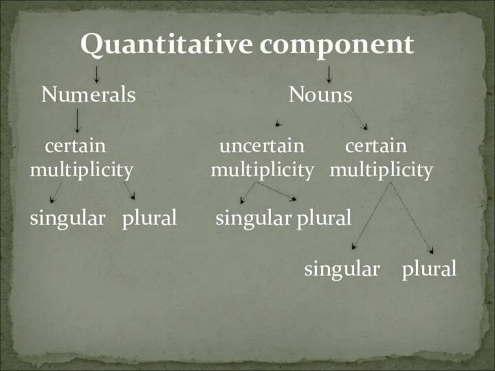 Numerals Nouns certain uncertain certain multiplicity multiplicity multiplicity singular plural singular plural singular plural Quantitative component