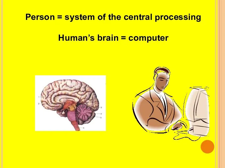 Person = system of the central processing Human’s brain = computer