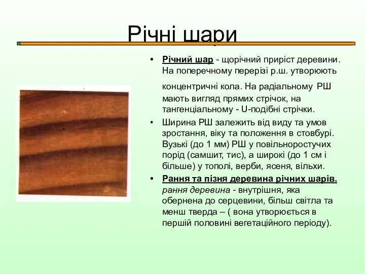 Річні шари Річний шар - щорічний приріст деревини. На поперечному перерізі