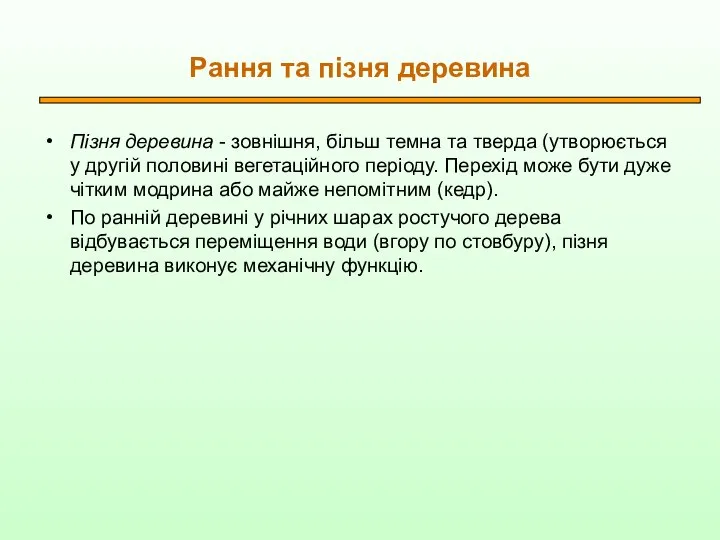 Рання та пізня деревина Пізня деревина - зовнішня, більш темна та