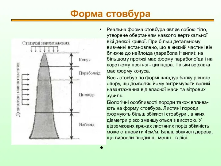 Форма стовбура Реальна форма стовбура являє собою тіло, утворене обертанням навколо