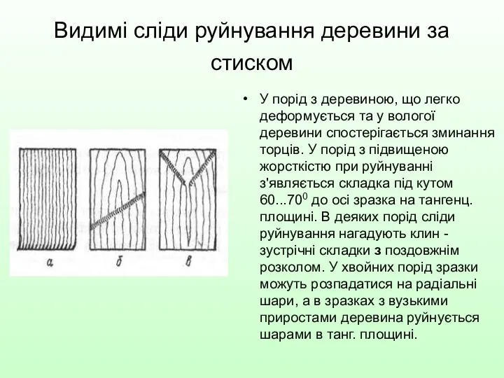 Видимі сліди руйнування деревини за стиском У порід з деревиною, що