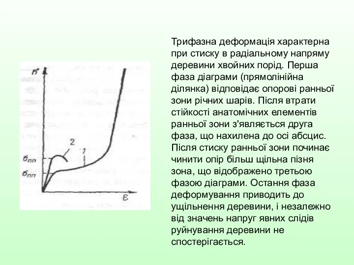 Трифазна деформація характерна при стиску в радіальному напряму деревини хвойних порід.