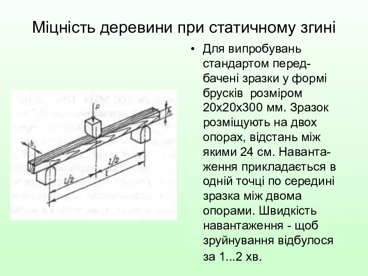 Міцність деревини при статичному згині Для випробувань стандартом перед-бачені зразки у