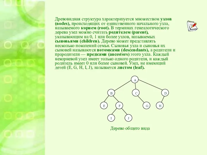 Древовидная структура характеризуется множеством узлов (nodes), происходящих от единственного начального узла,