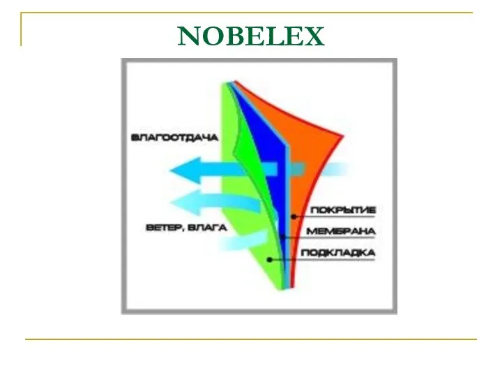 NOBELEX