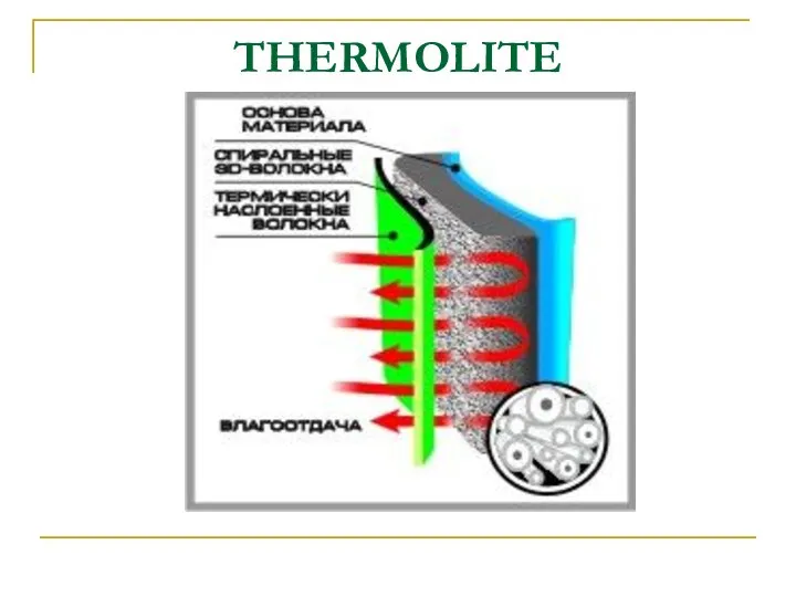 THERMOLITE