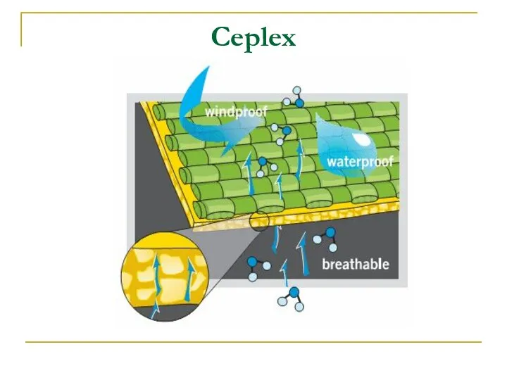 Ceplex