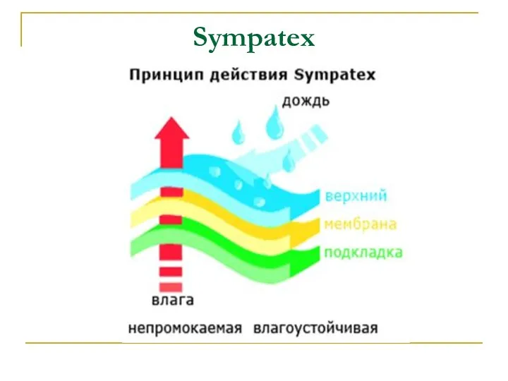 Sympatex