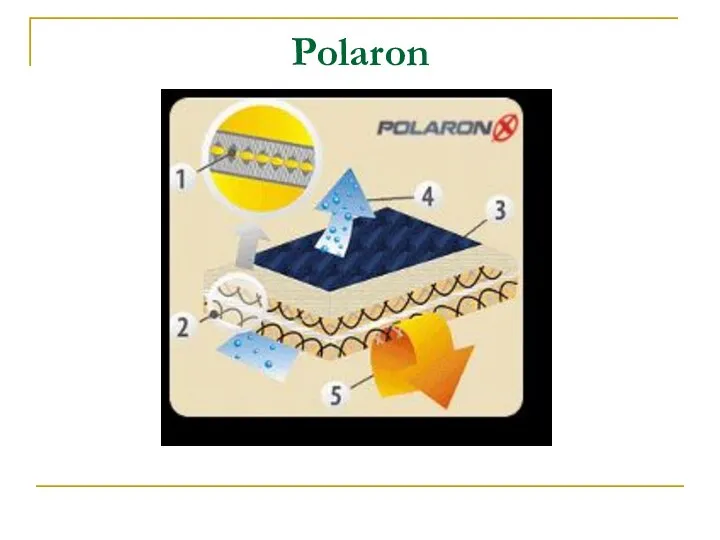 Polaron