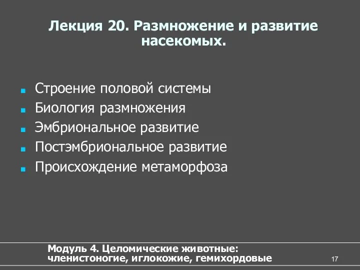 Лекция 20. Размножение и развитие насекомых. Строение половой системы Биология размножения