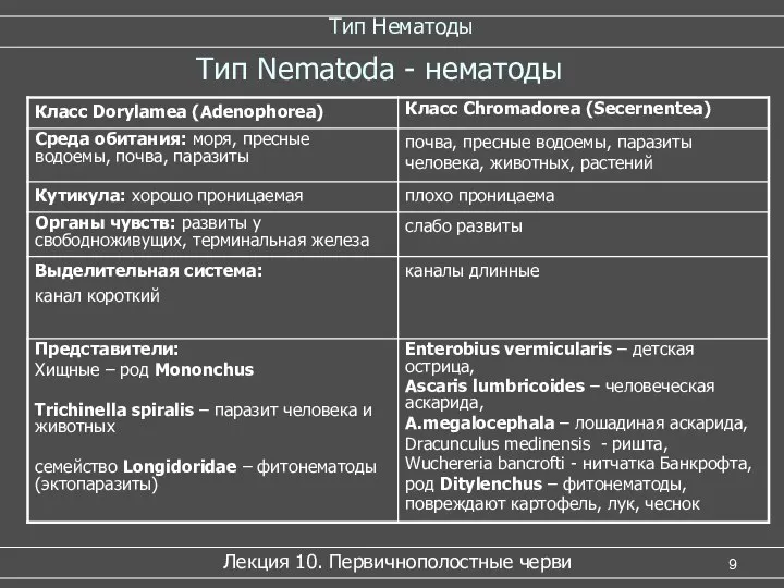 Тип Нематоды Лекция 10. Первичнополостные черви Тип Nematoda - нематоды