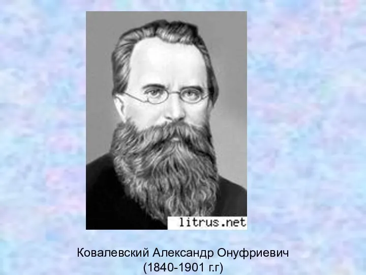Ковалевский Александр Онуфриевич (1840-1901 г.г)
