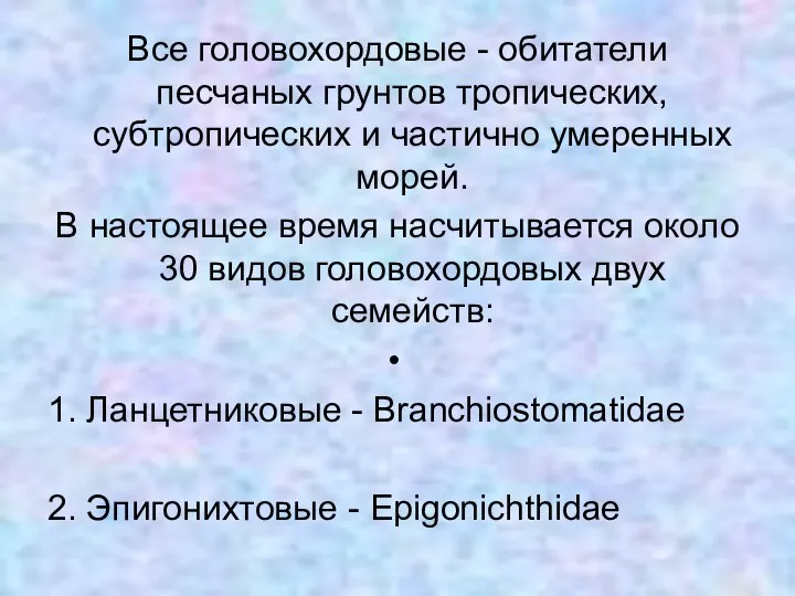 Все головохордовые - обитатели песчаных грунтов тропических, субтропических и частично умеренных