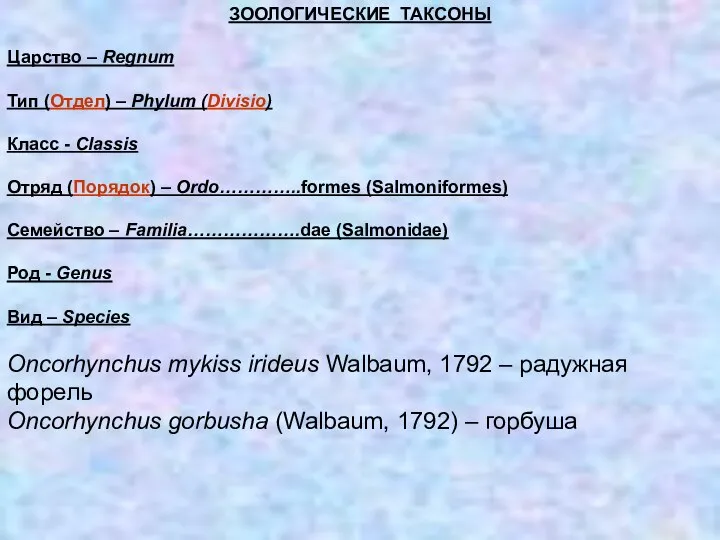 ЗООЛОГИЧЕСКИЕ ТАКСОНЫ Царство – Regnum Тип (Отдел) – Phylum (Divisio) Класс