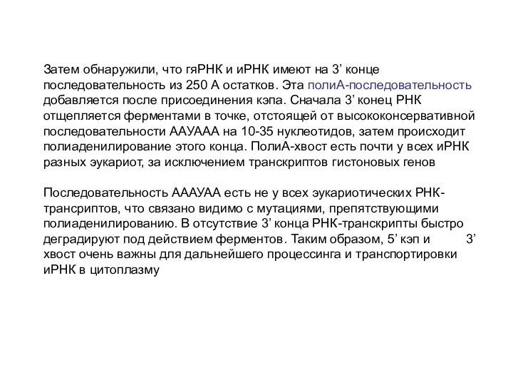 Затем обнаружили, что гяРНК и иРНК имеют на 3’ конце последовательность