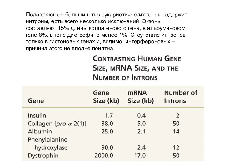Подавляющее большинство эукариотических генов содержит интроны, есть всего несколько исключений. Экзоны