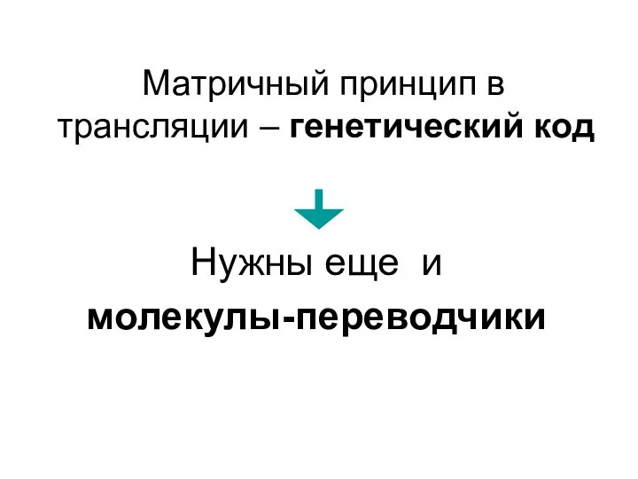 Нужны еще и молекулы-переводчики Матричный принцип в трансляции – генетический код