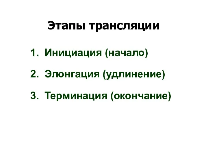 Этапы трансляции Инициация (начало) Элонгация (удлинение) Терминация (окончание)