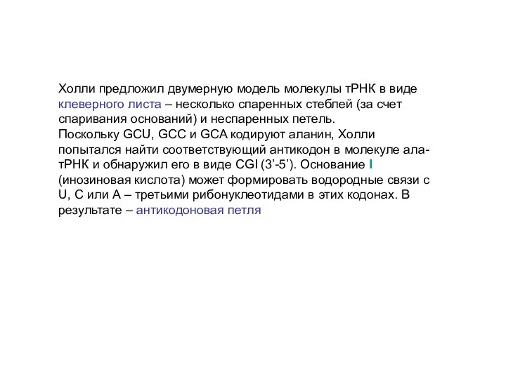 Холли предложил двумерную модель молекулы тРНК в виде клеверного листа –