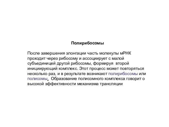 Полирибосомы После завершения элонгации часть молекулы мРНК проходит через рибосому и