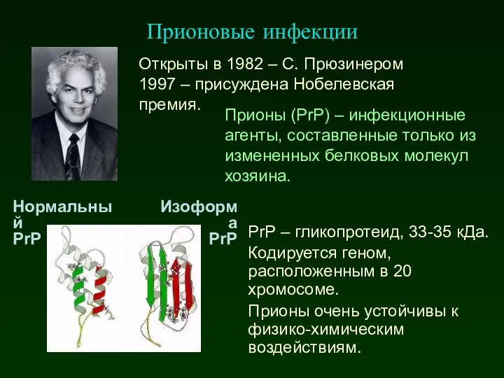 Прионовые инфекции Прионы (PrP) – инфекционные агенты, составленные только из измененных