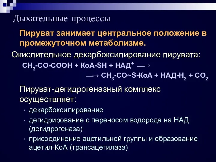 Пируват занимает центральное положение в промежуточном метаболизме. Окислительное декарбоксилирование пирувата: CH3-CO-COOH