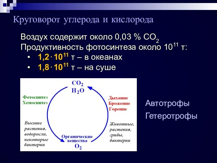 Круговорот углерода и кислорода Воздух содержит около 0,03 % СO2 Продуктивность