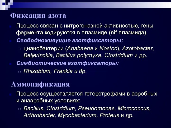 Фиксация азота Процесс связан с нитрогеназной активностью, гены фермента кодируются в