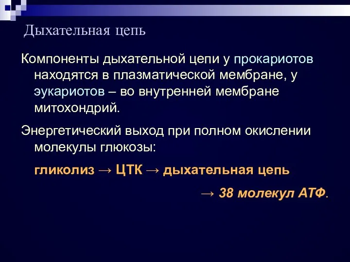 Компоненты дыхательной цепи у прокариотов находятся в плазматической мембране, у эукариотов