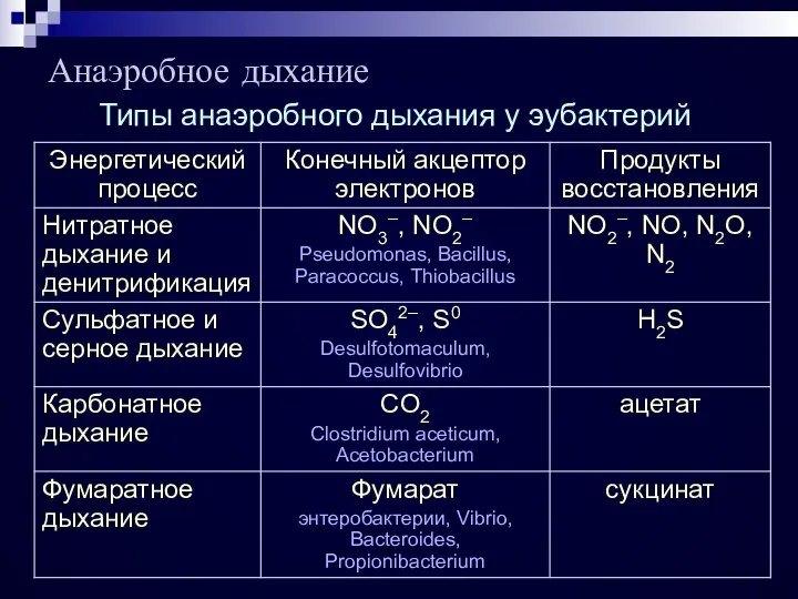 Анаэробное дыхание Типы анаэробного дыхания у эубактерий