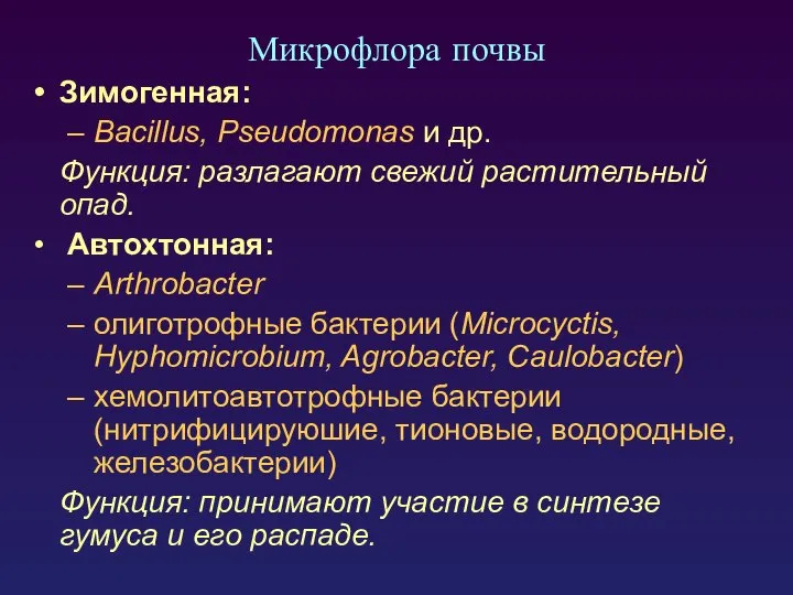 Зимогенная: Bacillus, Pseudomonas и др. Функция: разлагают свежий растительный опад. Автохтонная: