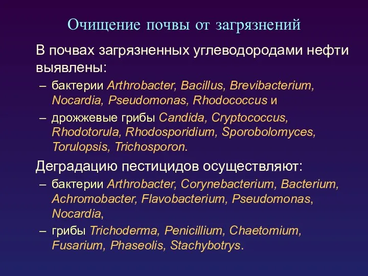 Очищение почвы от загрязнений В почвах загрязненных углеводородами нефти выявлены: бактерии