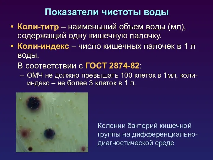 Коли-титр – наименьший объем воды (мл), содержащий одну кишечную палочку. Коли-индекс