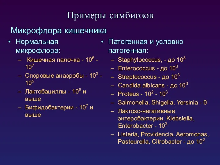 Примеры симбиозов Микрофлора кишечника Нормальная микрофлора: Кишечная палочка - 106 -