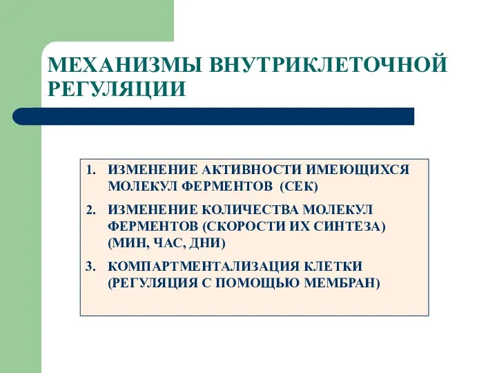 МЕХАНИЗМЫ ВНУТРИКЛЕТОЧНОЙ РЕГУЛЯЦИИ ИЗМЕНЕНИЕ АКТИВНОСТИ ИМЕЮЩИХСЯ МОЛЕКУЛ ФЕРМЕНТОВ (СЕК) ИЗМЕНЕНИЕ КОЛИЧЕСТВА