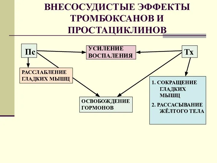 ВНЕСОСУДИСТЫЕ ЭФФЕКТЫ ТРОМБОКСАНОВ И ПРОСТАЦИКЛИНОВ Пс Тх УСИЛЕНИЕ ВОСПАЛЕНИЯ РАССЛАБЛЕНИЕ ГЛАДКИХ